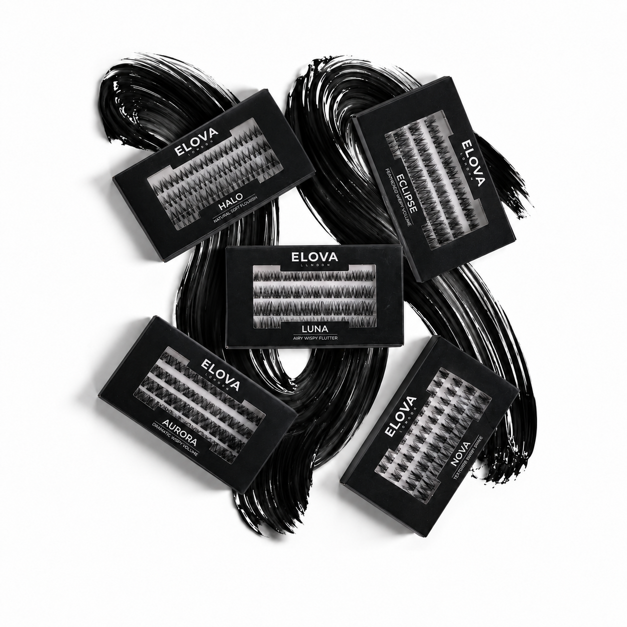 48 Cluster Lash Boxes