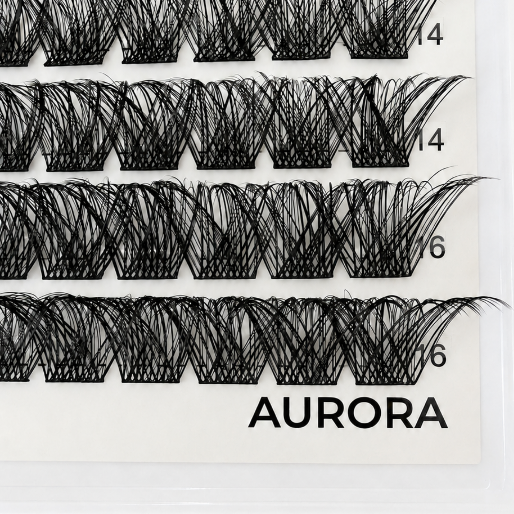 AURORA Mixed Length Cluster Tray