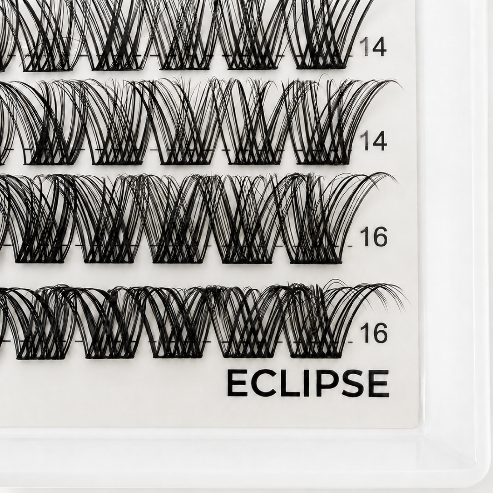 ECLIPSE — DIY Cluster Lash Kit