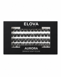 AURORA 48 Cluster Lash Box