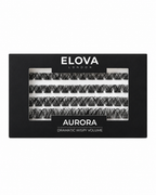 AURORA 48 Cluster Lash Box