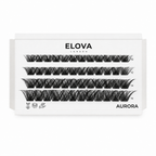 AURORA 48 Cluster Lash Box
