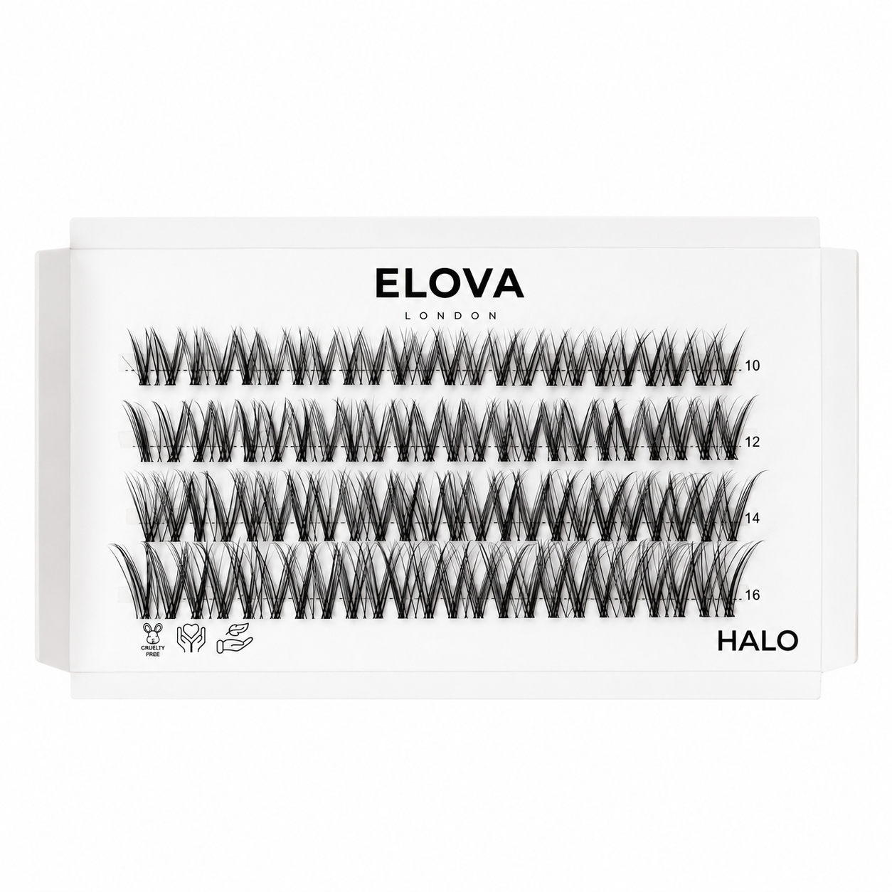 HALO 48 Cluster Lash Box