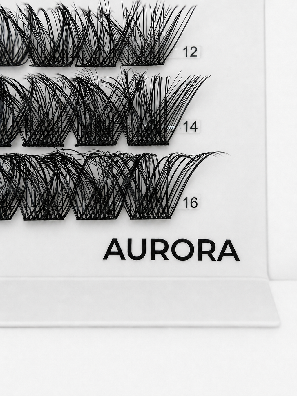AURORA 48 Cluster Lash Box