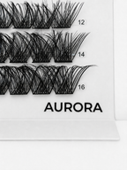 AURORA 48 Cluster Lash Box
