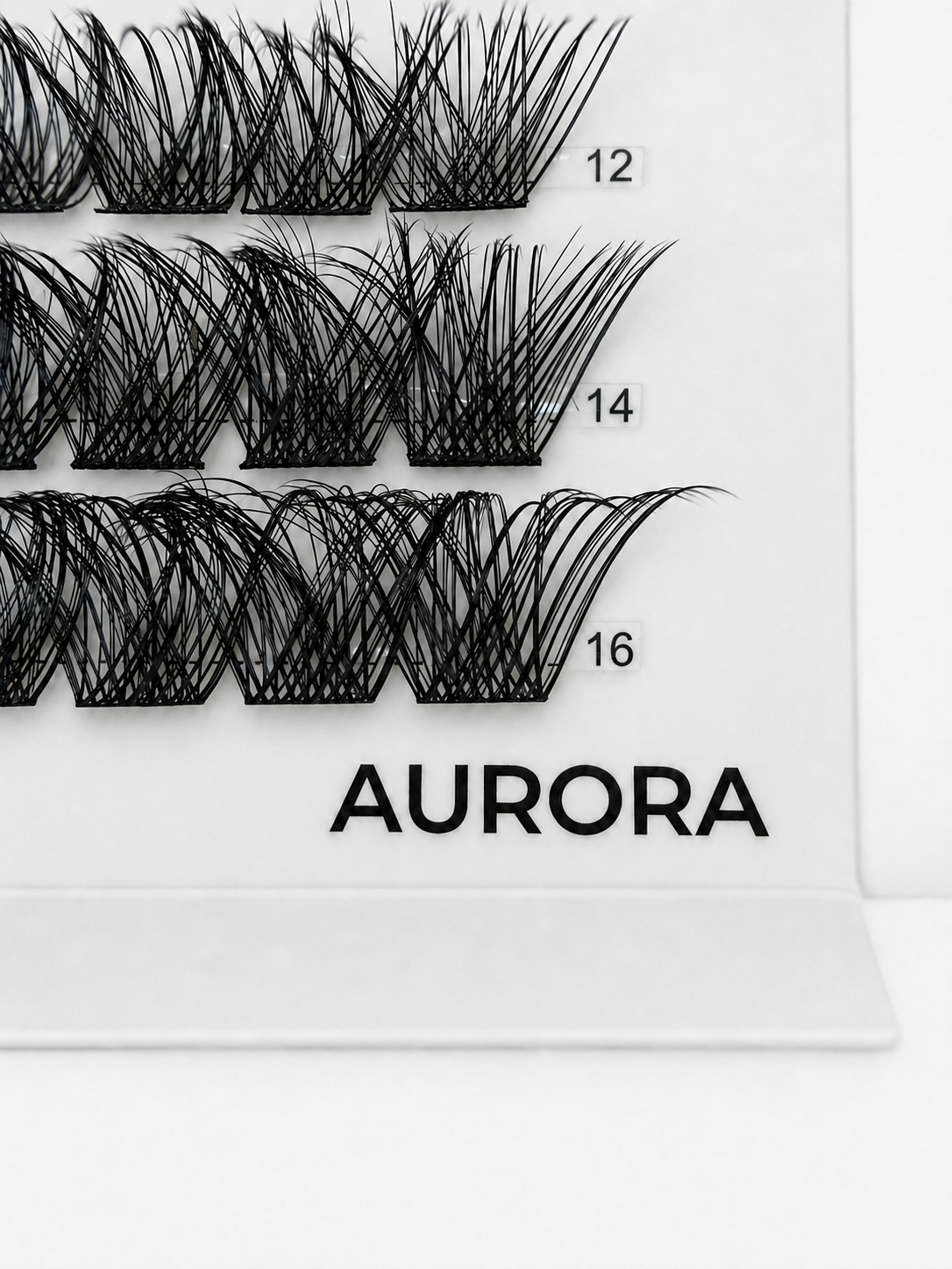 AURORA 48 Cluster Lash Box