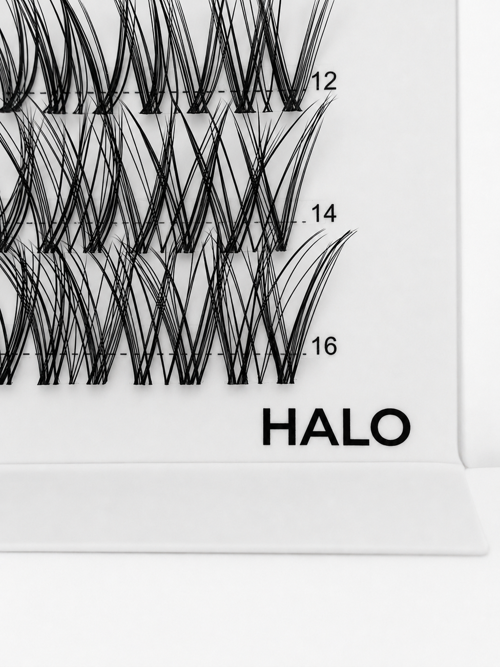 HALO 48 Cluster Lash Box