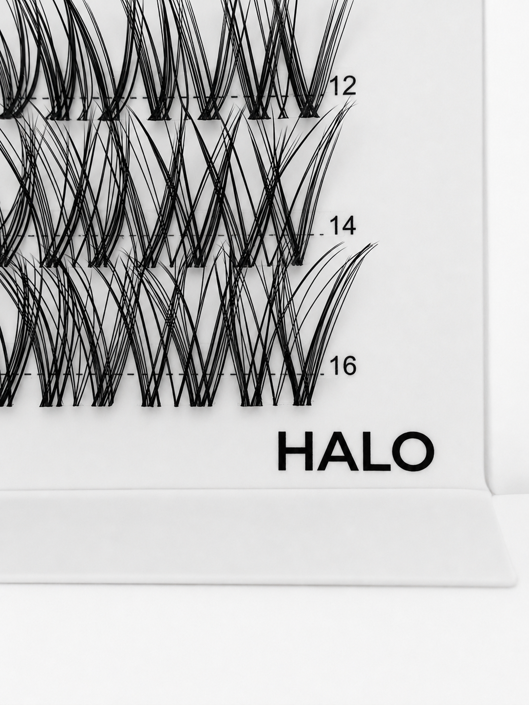 HALO 48 Cluster Lash Box