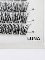 LUNA 48 Cluster Lash Box
