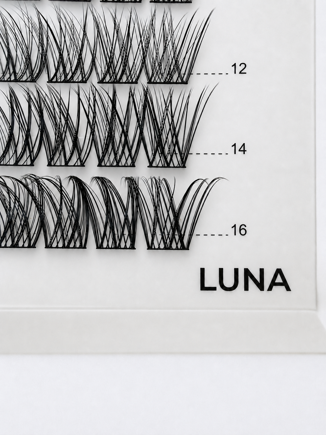 LUNA 48 Cluster Lash Box