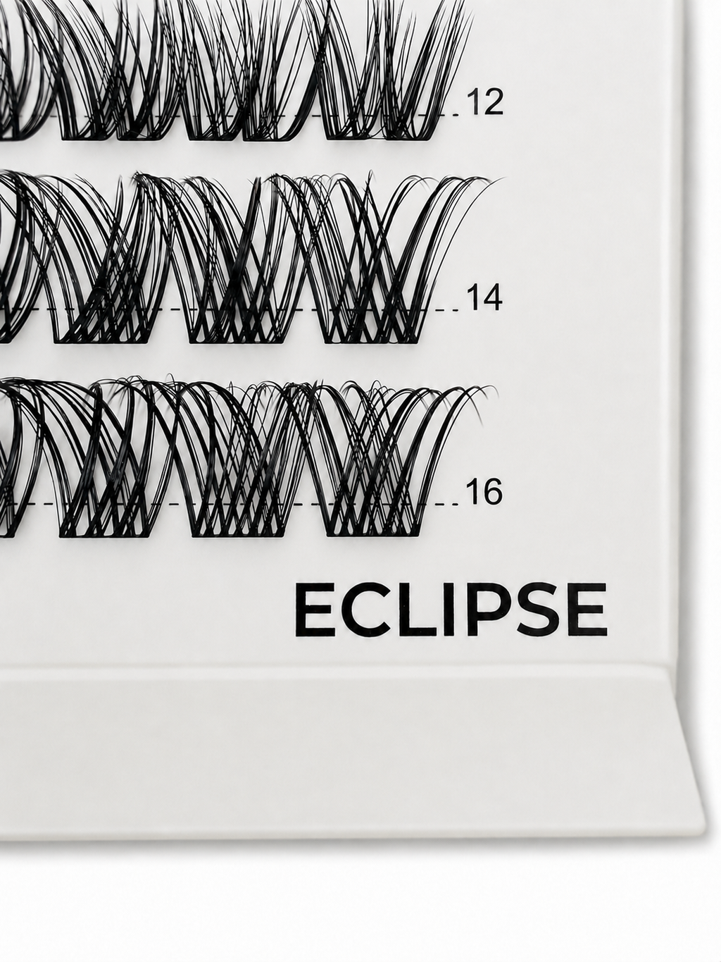 ECLIPSE 48 Cluster Lash Box