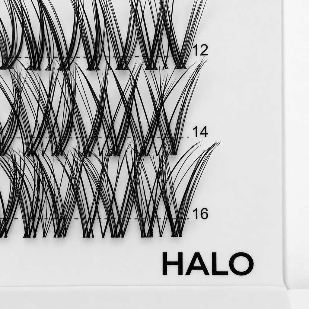 HALO 48 Cluster Lash Box