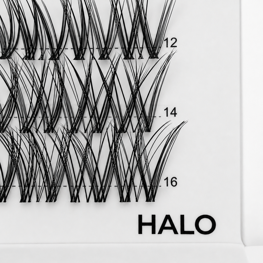 HALO 48 Cluster Lash Box