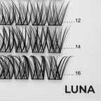 LUNA 48 Cluster Lash Box