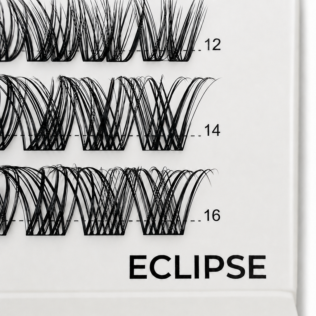 ECLIPSE 48 Cluster Lash Box