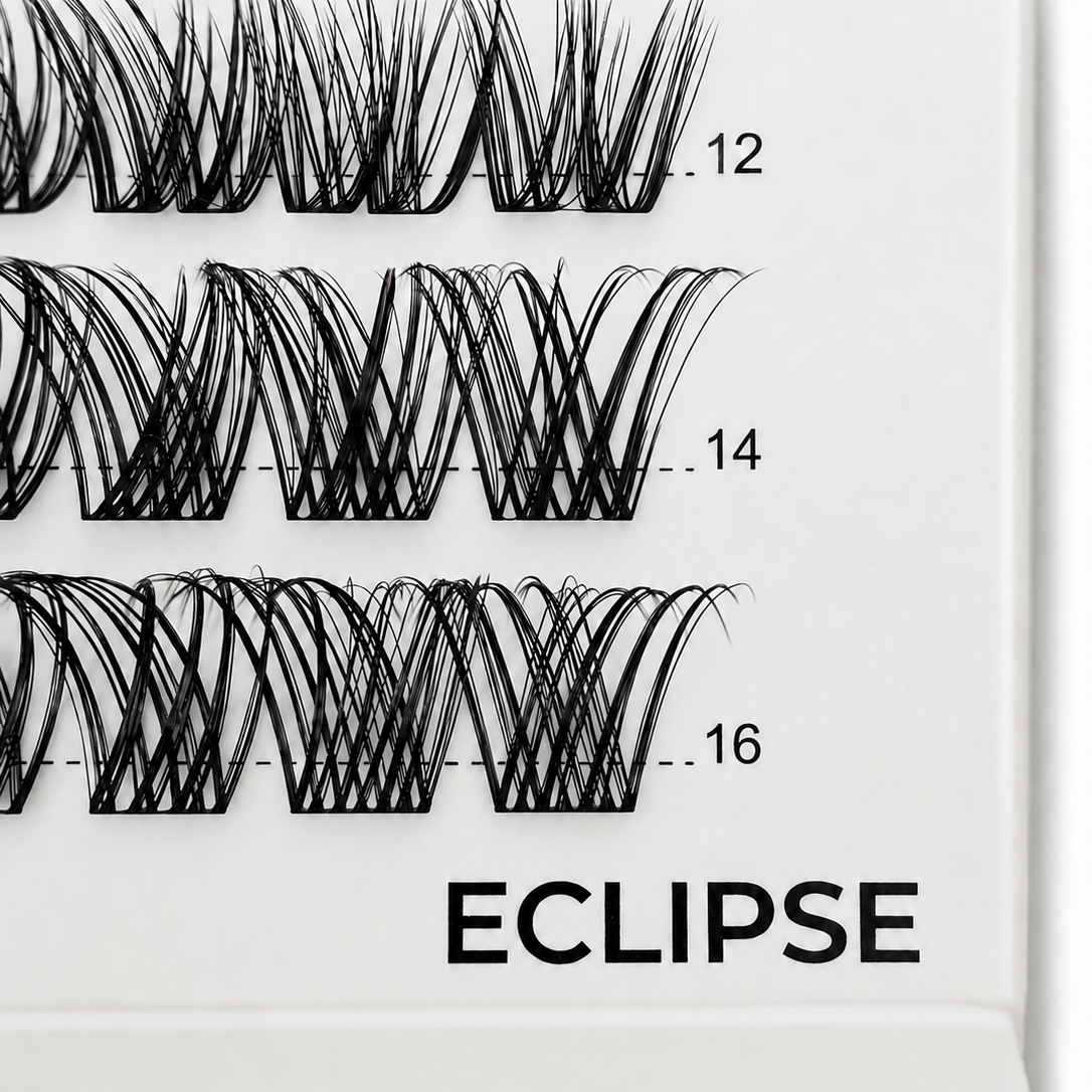 ECLIPSE 48 Cluster Lash Box