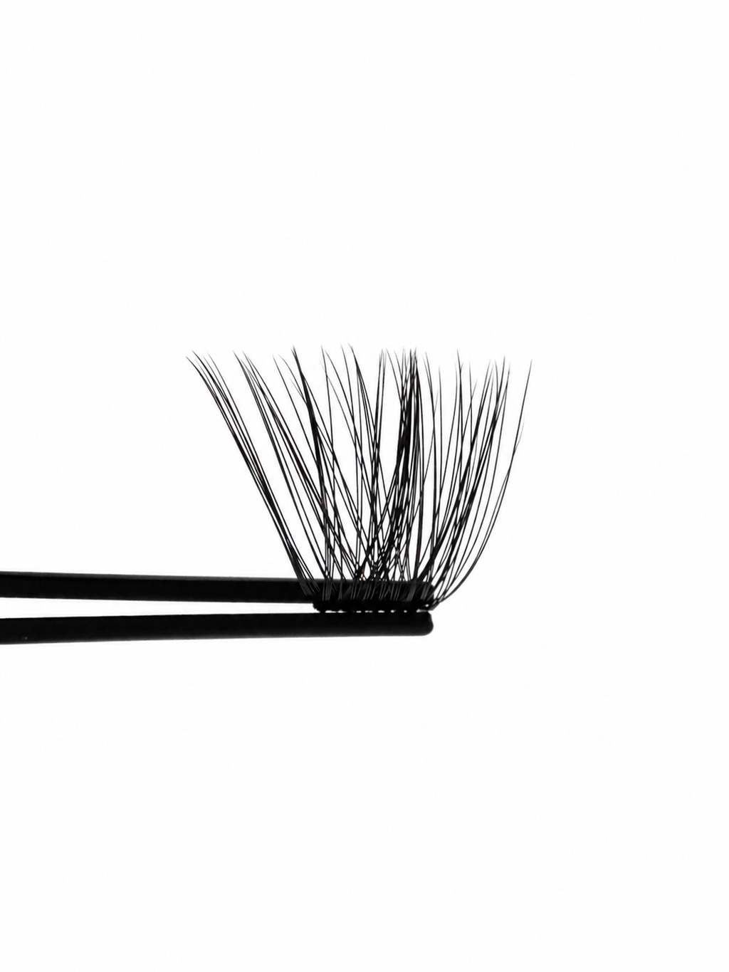 Lash Applicator