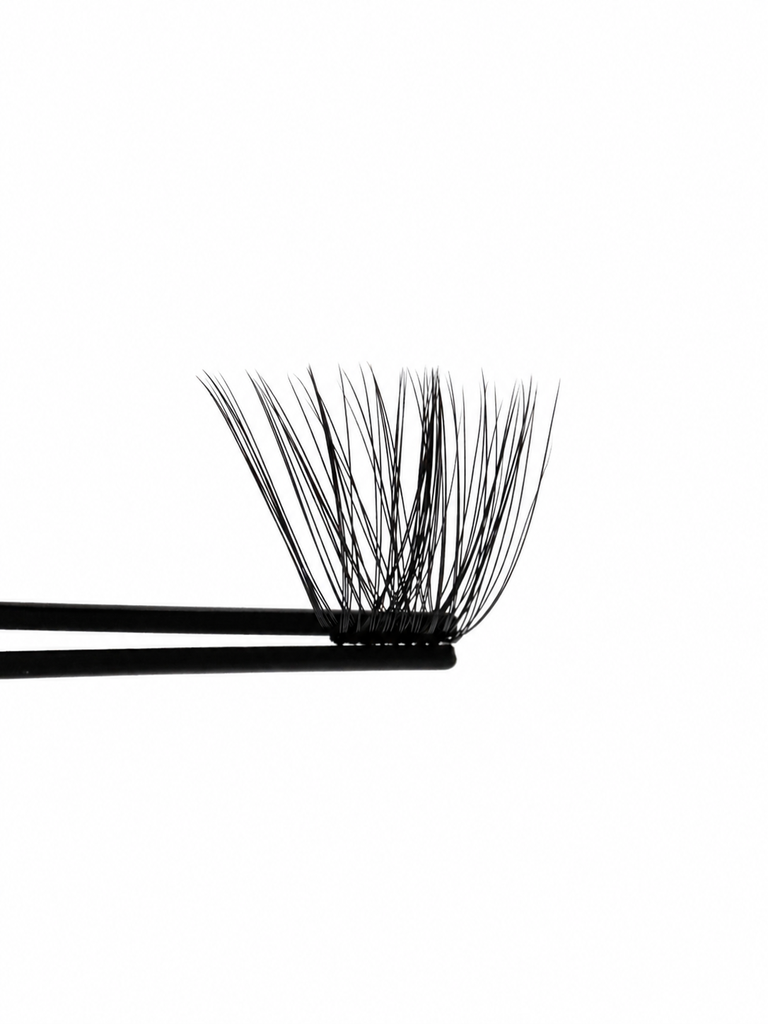 Lash Applicator