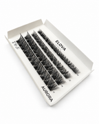AURORA 48 Cluster Lash Box