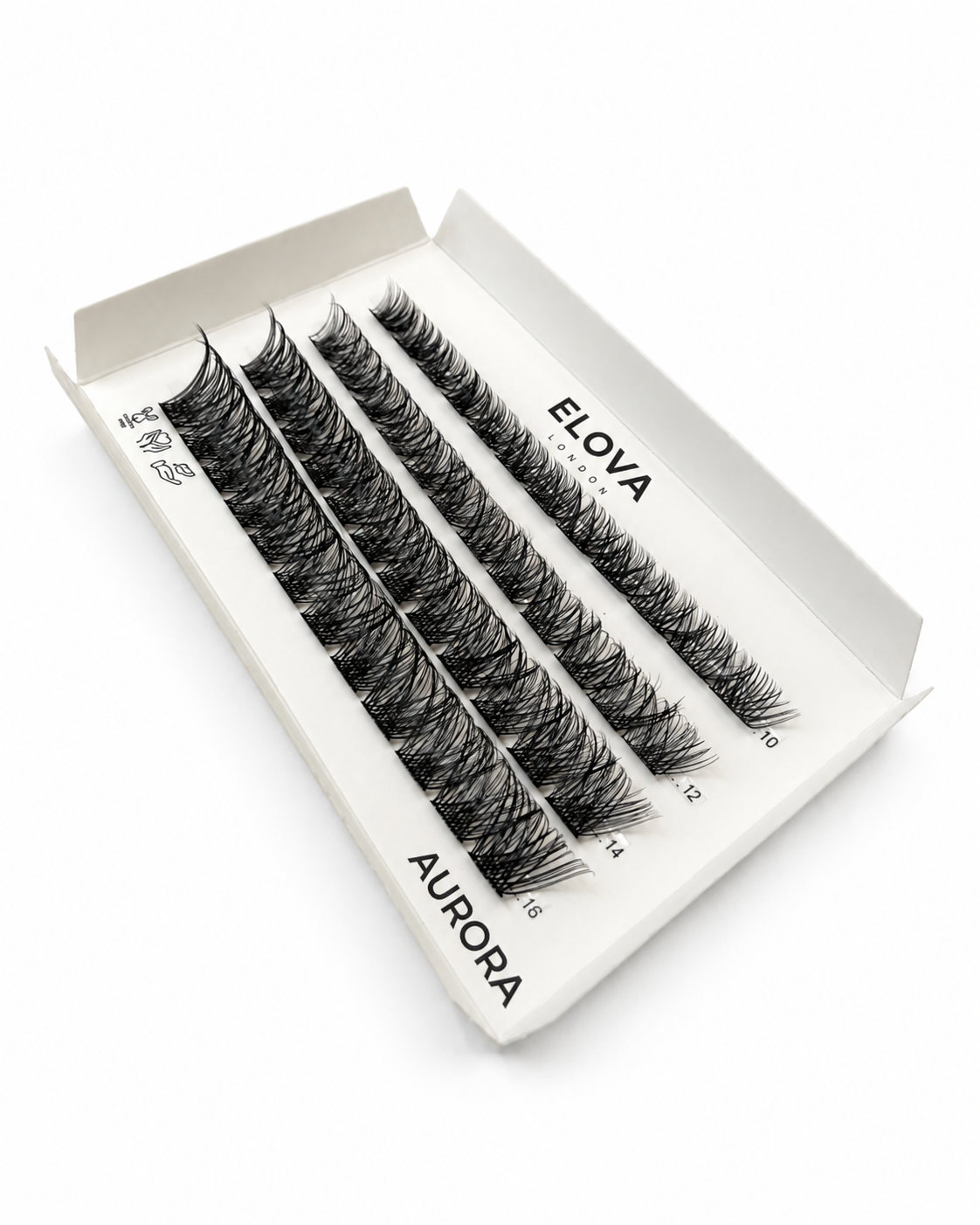 AURORA 48 Cluster Lash Box