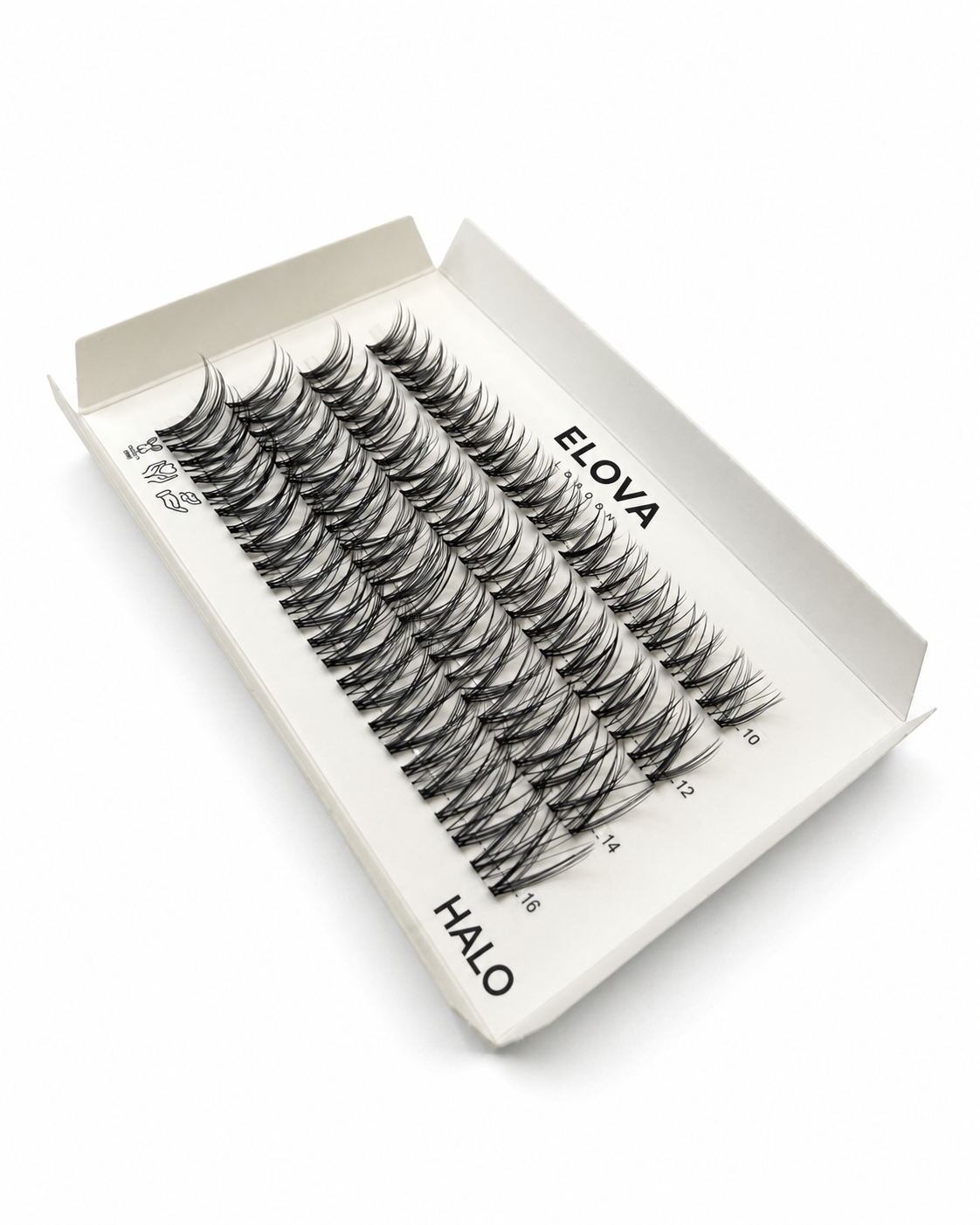 HALO 48 Cluster Lash Box